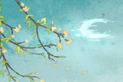 梅花易數64卦詳細解卦 梅花卦是什么