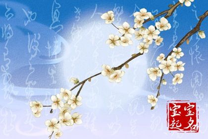 龍年出生男孩的名字有哪些 望子成龍的好名字