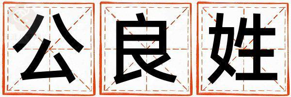 公良姓有新意的女孩名字,取什么名字好