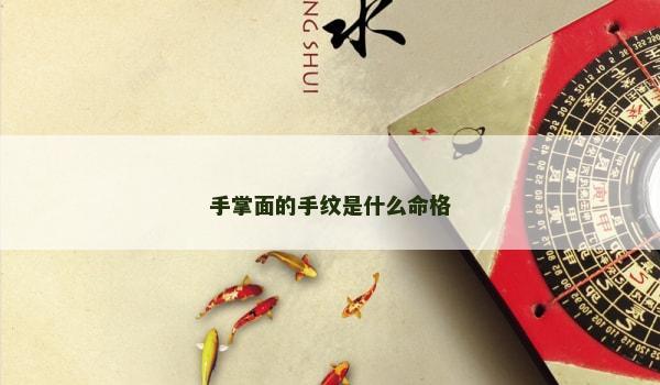 手掌面的手紋是什么命格