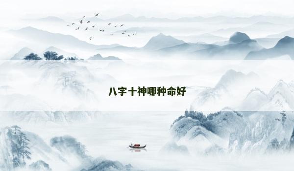八字十神哪種命好